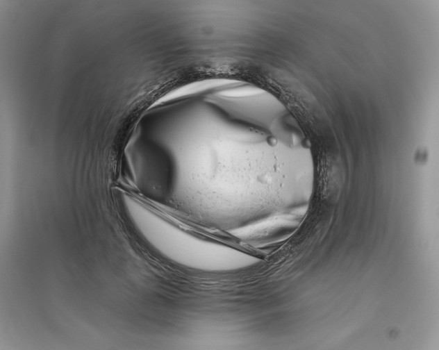 X0000096170747200802081411