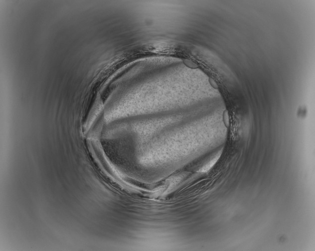 X0000096170748200802081411