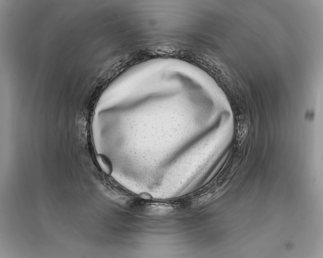 X0000096170749200802081411