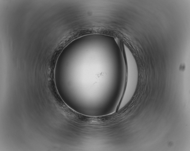 X0000096170750200802081411