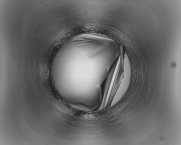 X0000096170751200802081411