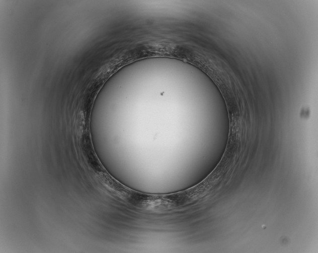 X0000096170752200802081411