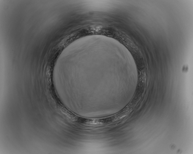 X0000096170754200802081411