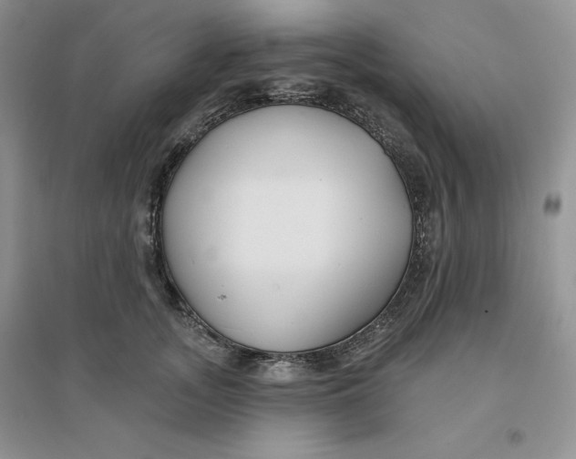 X0000096170755200802081411