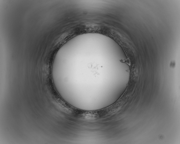 X0000096170756200802081411