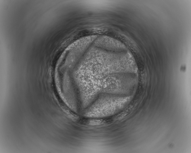 X0000096170757200802081411