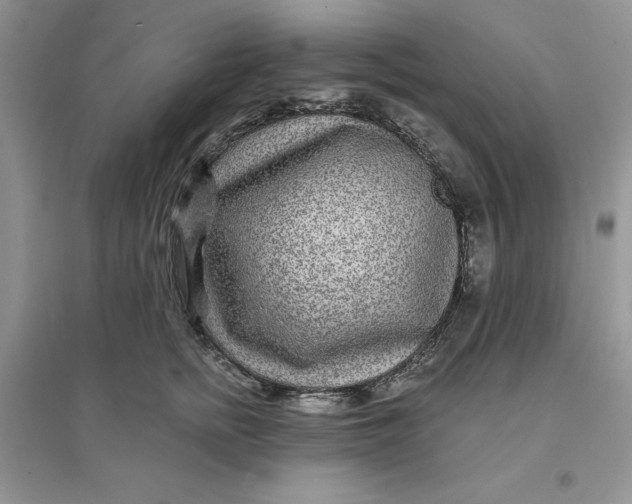 X0000096170758200802081411