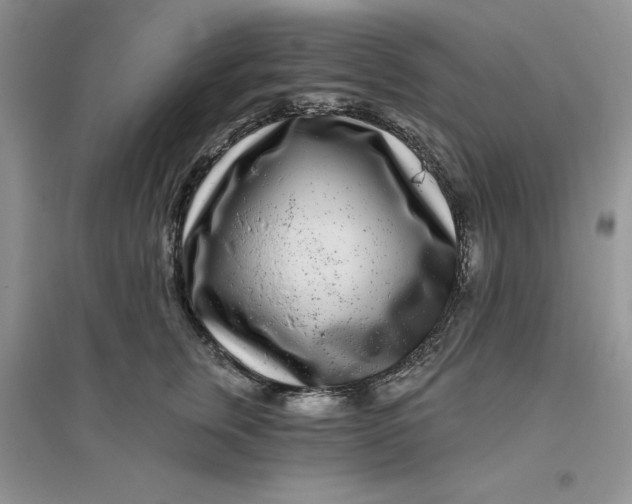 X0000096170759200802081411