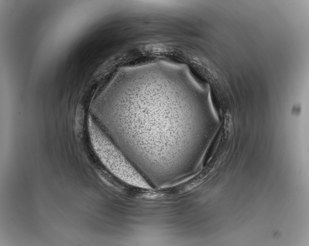 X0000096170760200802081411