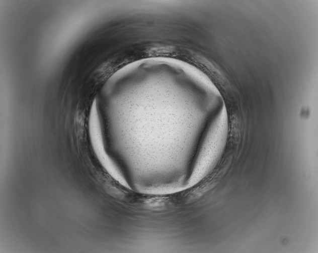 X0000096170761200802081411