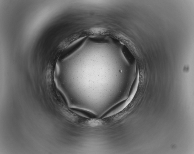 X0000096170762200802081411