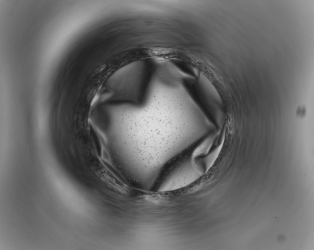 X0000096170763200802081411