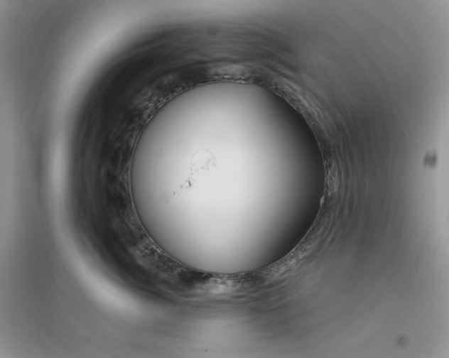 X0000096170764200802081411