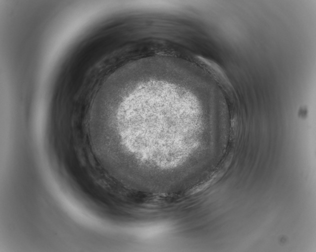 X0000096170765200802081411