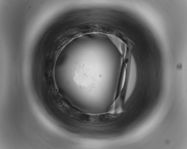 X0000096170766200802081411