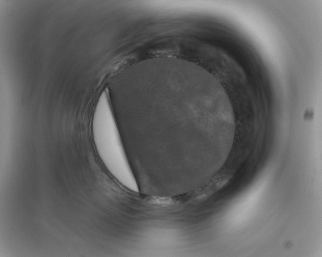 X0000096170767200802081411