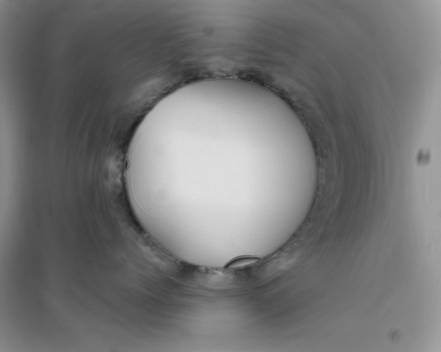 X0000096170768200802081411