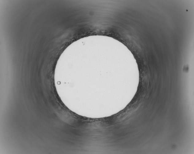 X0000096170769200802081411