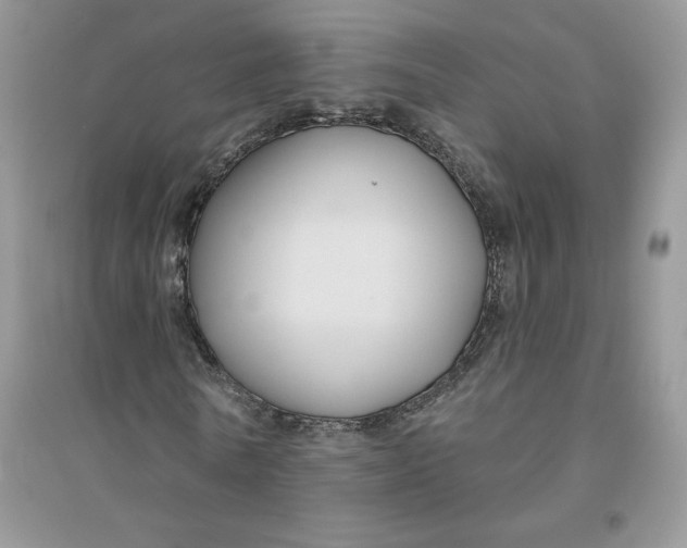 X0000096170770200802081411