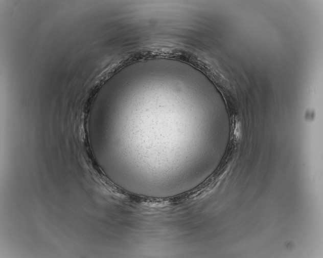 X0000096170771200802081411