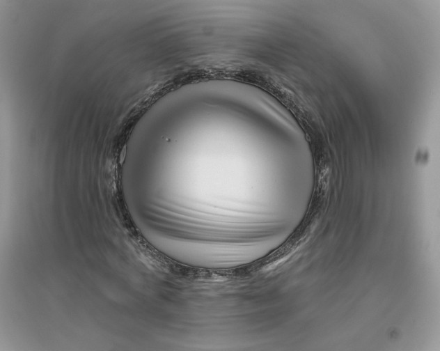 X0000096170772200802081410