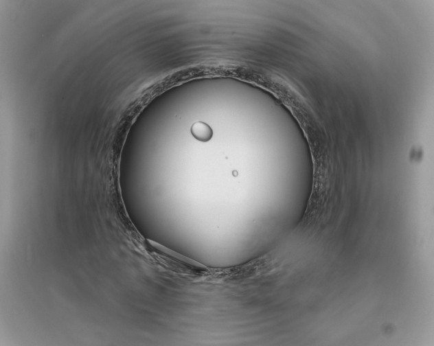 X0000096170773200802081410