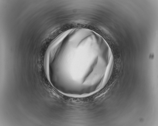 X0000096170774200802081410