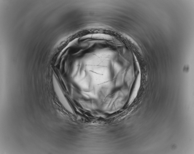 X0000096170775200802081410