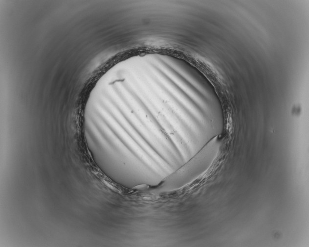 X0000096170776200802081410