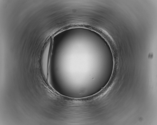 X0000096170777200802081410