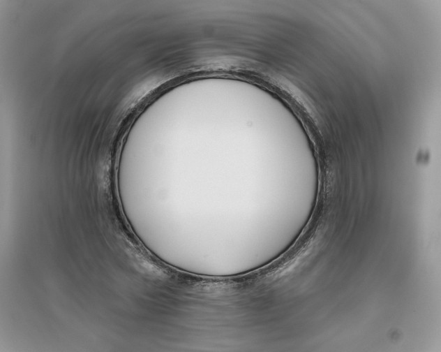 X0000096170778200802081410