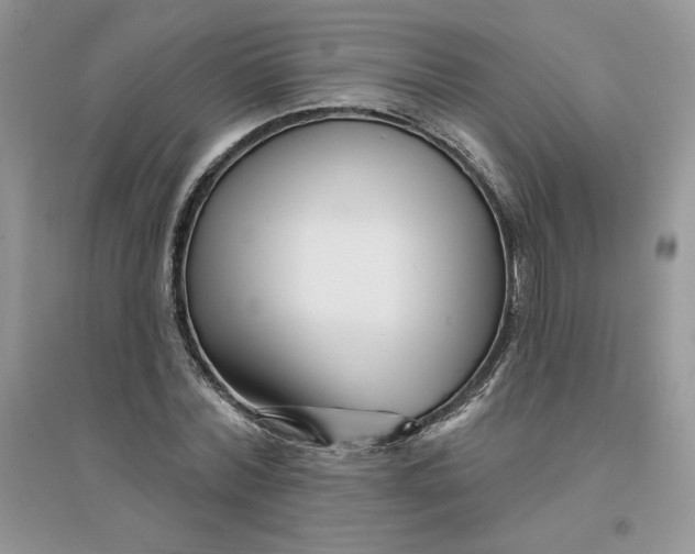 X0000096170780200802081410