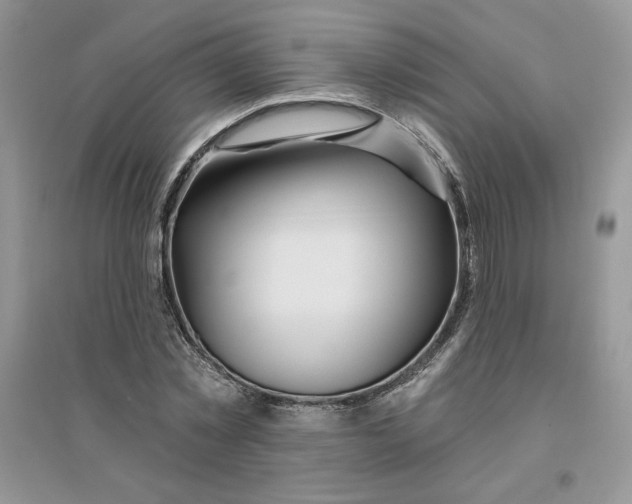 X0000096170781200802081410