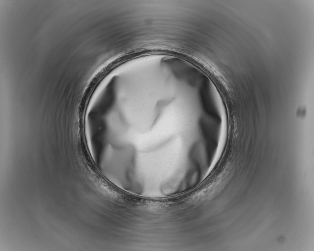 X0000096170782200802081410