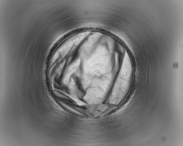 X0000096170783200802081410