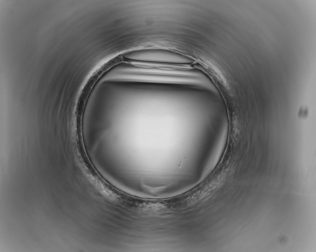 X0000096170784200802081410