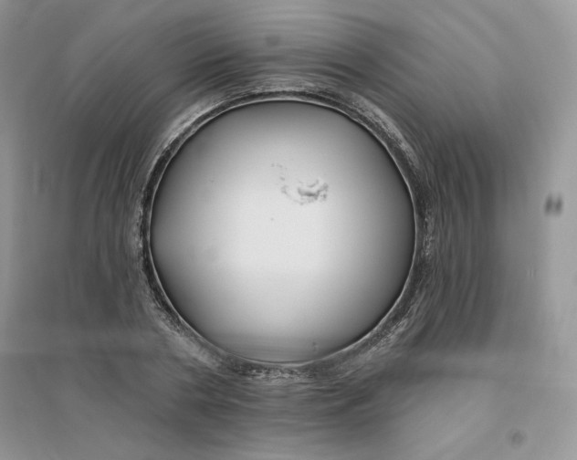 X0000096170786200802081410