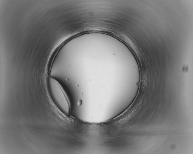 X0000096170787200802081410