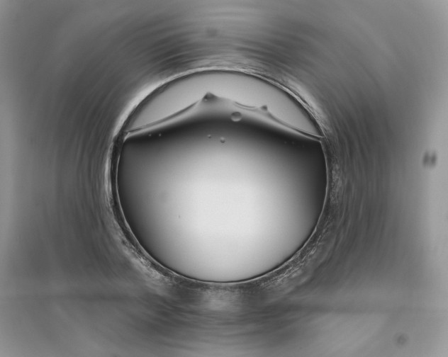 X0000096170788200802081410