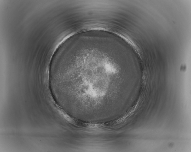 X0000096170790200802081410