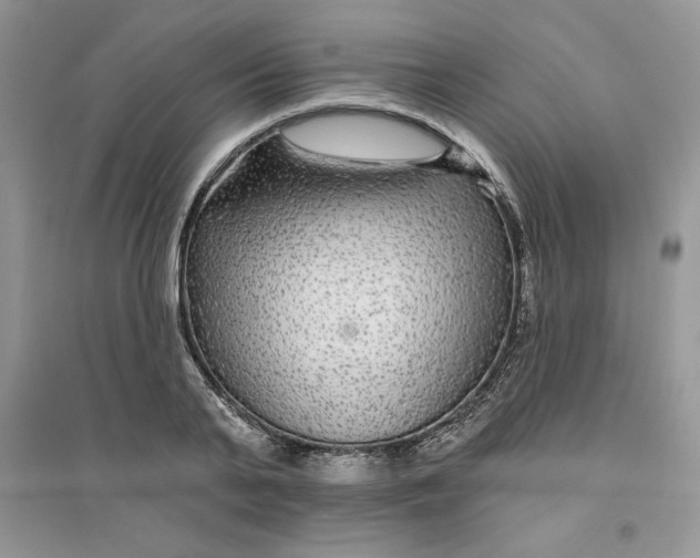 X0000096170791200802081410