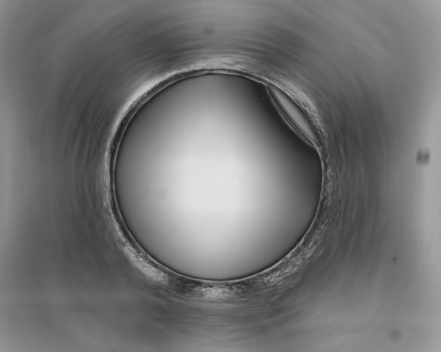 X0000096170792200802081410