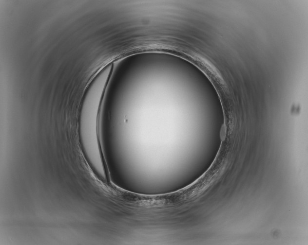 X0000096170793200802081410