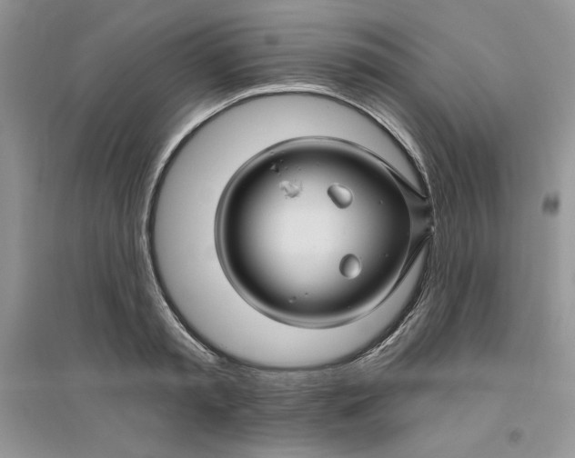 X0000096170797200802081410