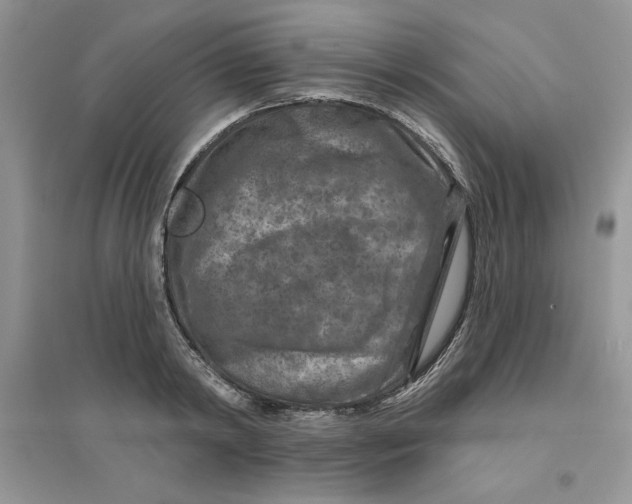 X0000096170798200802081410