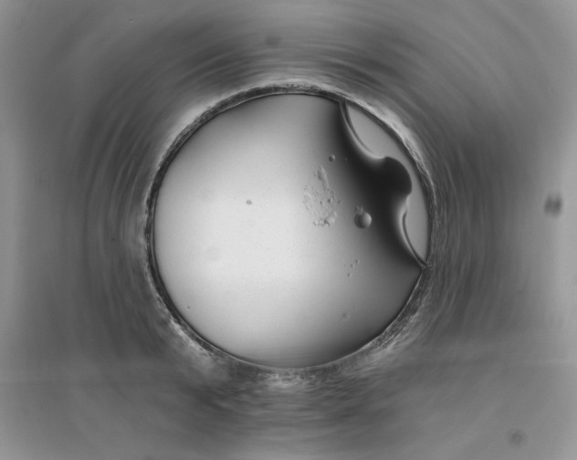 X0000096170799200802081410