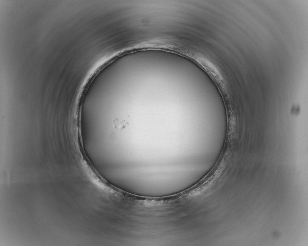 X0000096170800200802081410