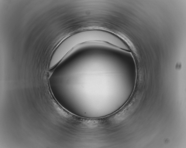 X0000096170801200802081410