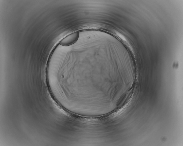 X0000096170802200802081410