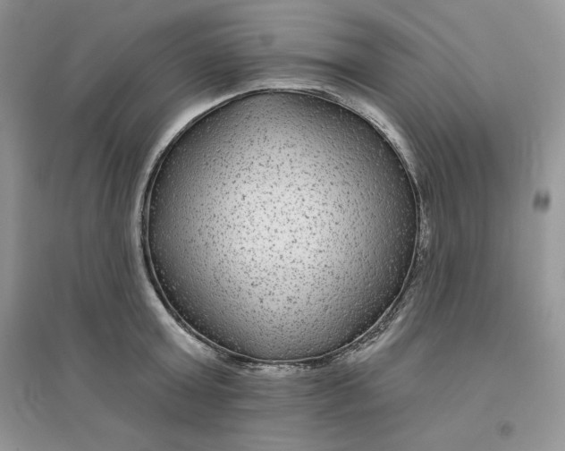 X0000096170803200802081410